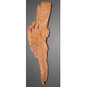 Mangrove root 30 to 45 cm